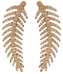click to see more