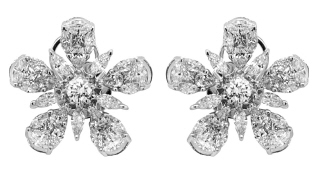 click to see more