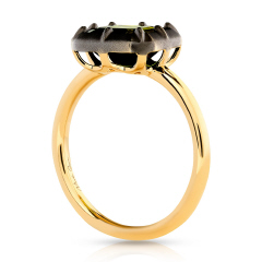 18kt yellow gold green tourmaline ring with satin finish black rhodium.