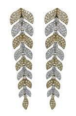 click to see more
